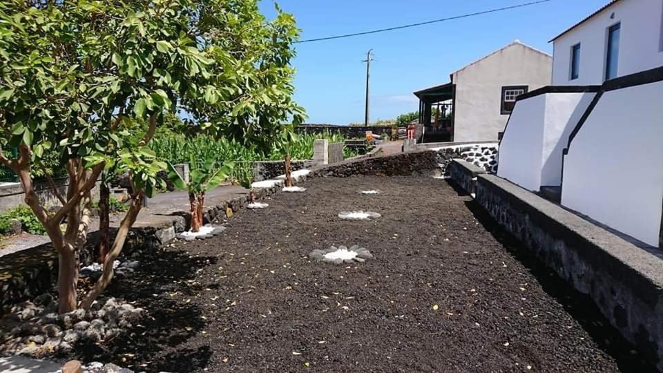 Azores Black Mountain House, Estudio E T2 Ilha Do Pico São Roque do Pico Exteriér fotografie